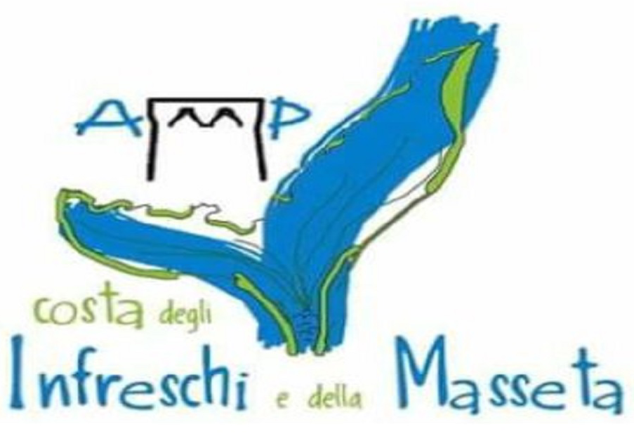 Logo AMP